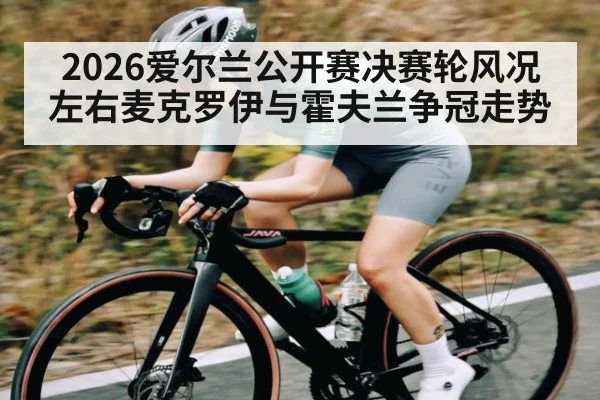 2026爱尔兰公开赛决赛轮风况左右麦克罗伊与霍夫兰争冠走势 - c7c7